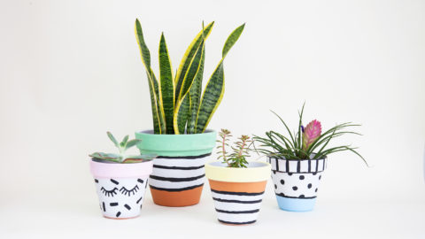 Paint beautiful terracotta plant pots with acrylic and spray paints